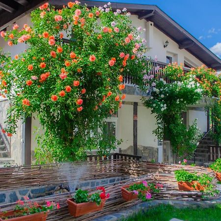 Guest House Via Sapareva Banya Exterior foto