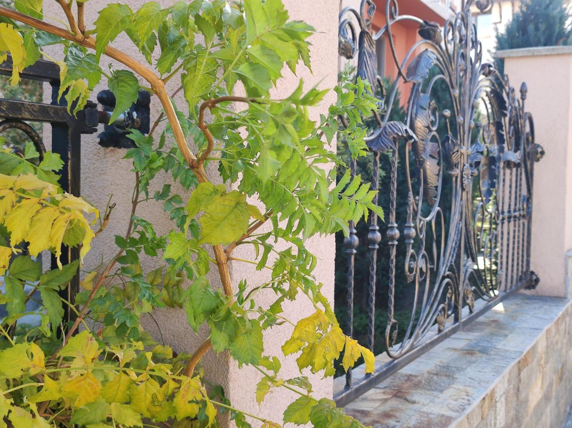 Guest House Via Sapareva Banya Exterior foto