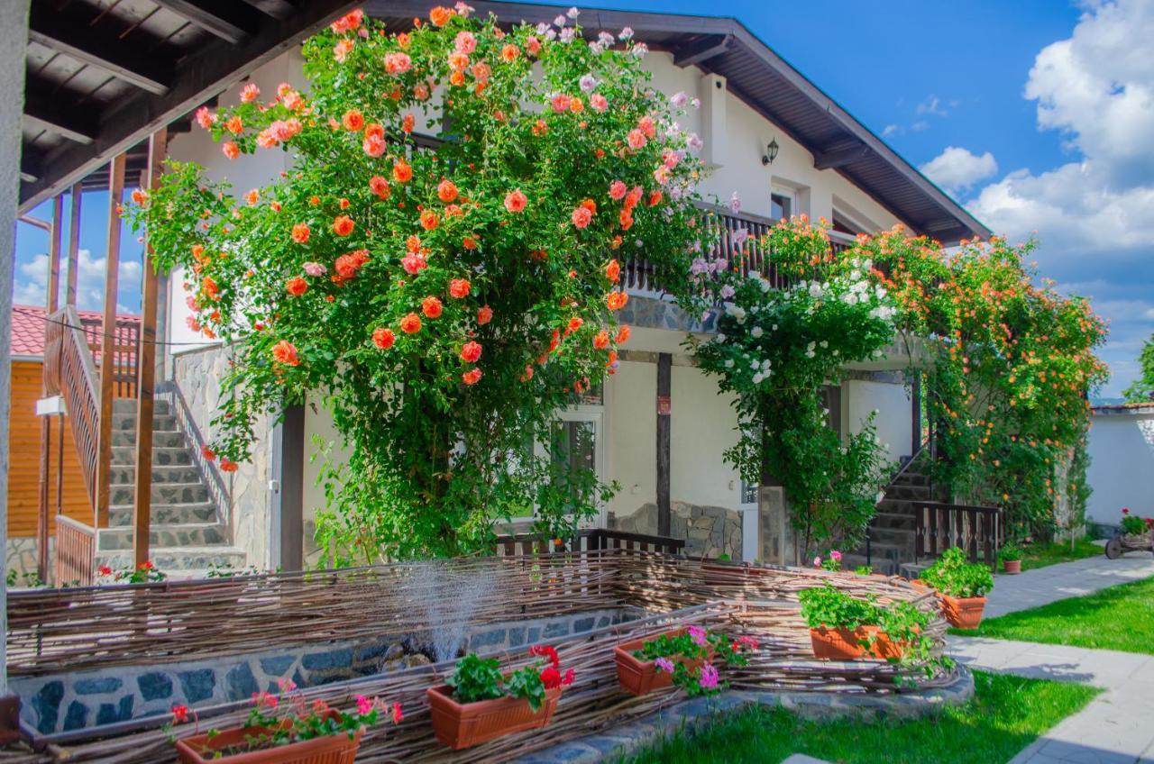 Guest House Via Sapareva Banya Exterior foto